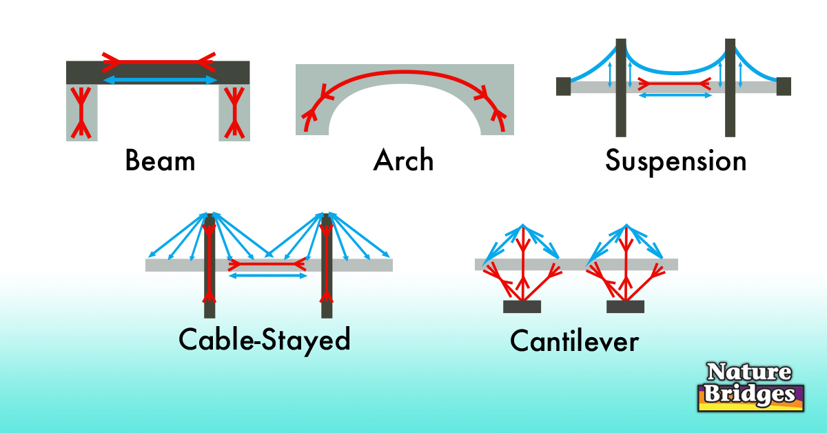 Different Types Of Suspension Bridges