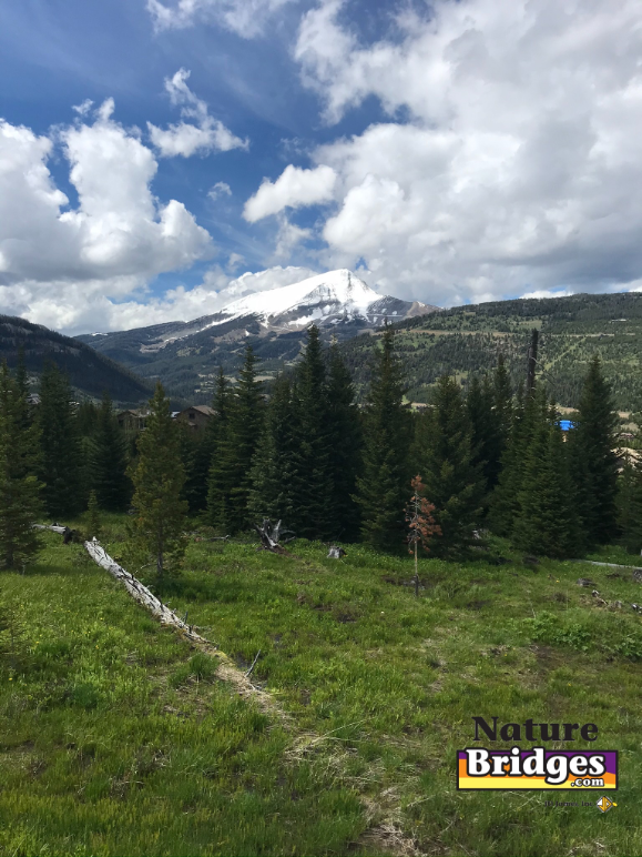 Exploring nature in national parks