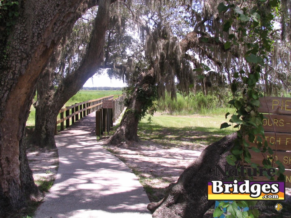 Questions to ask a bridge contractor Questions to ask a bridge contractor