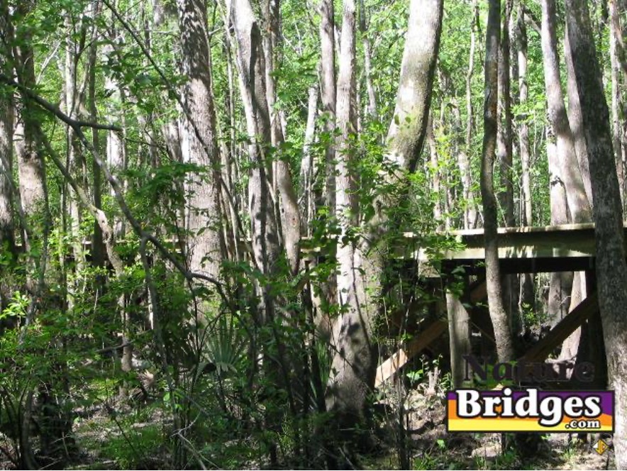 Summer boardwalk