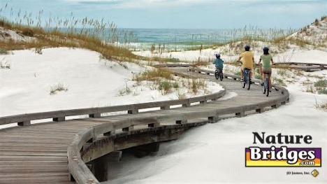 Boardwalks protect dunes
