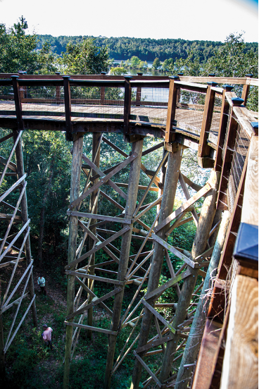 Unique Bridge Designs from Around the World