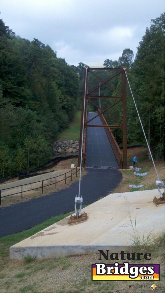 Engineering Long-Span Bridges