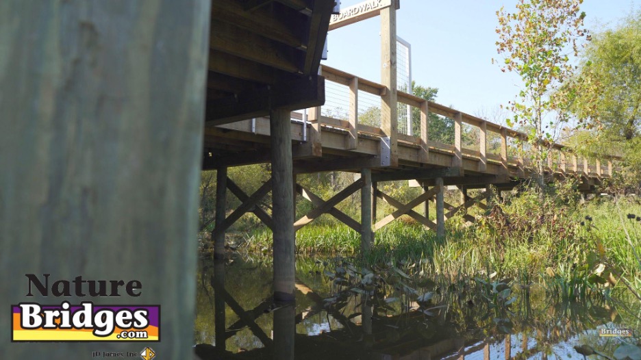 How Bridges and Boardwalks Protect Habitats