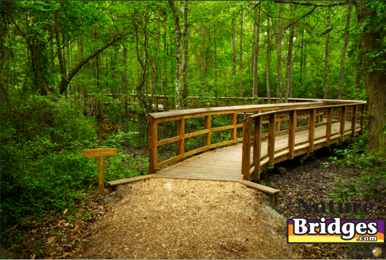 Nature Connections in Public Spaces - Nature Bridges