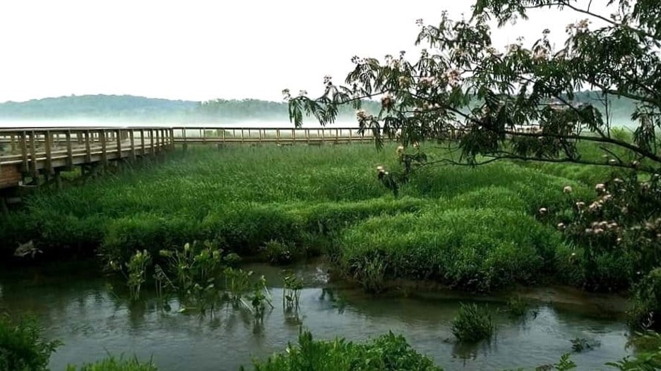 How Nature Bridges Can Help How Nature Bridges Can Help