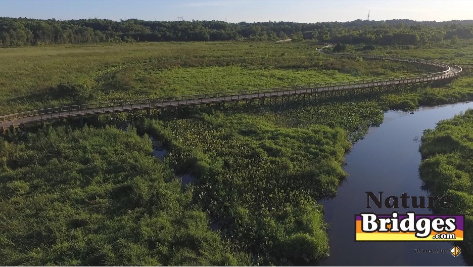 How to Bring Nature Closer with Boardwalks