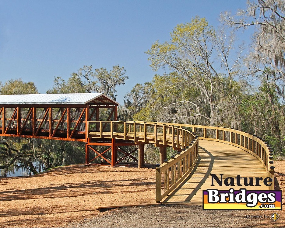 Free Span Bridge Designs