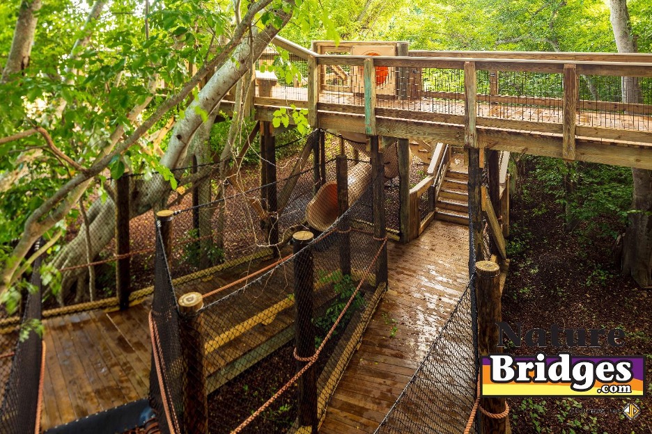 Engaging Boardwalk Features Engaging Boardwalk Features
