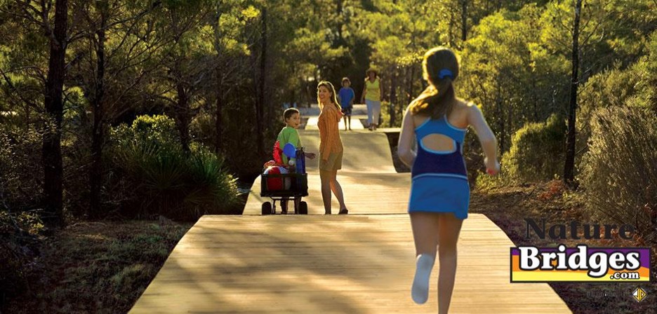 Enhancing Fall Festivities with Boardwalks Enhancing Fall Festivities with Boardwalks
