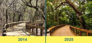 Lafayette Heritage Trail Park-Tallahassee-FL
