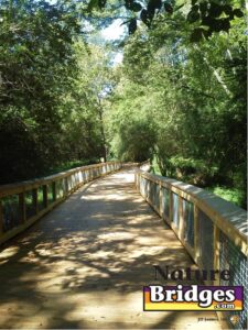 Boardwalk trail lighting and shadows