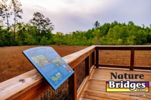 Integrating Educational Signs Along Nature Trails