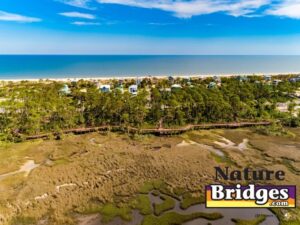 Integrating Nature into Urban Design Boardwalks