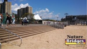 construction inclusion & sustainability