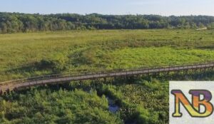 Encouraging Environmental Stewardship Through Access