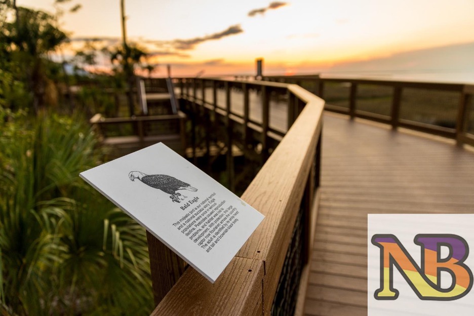 boardwalk visitors build stewardship boardwalk visitors build stewardship