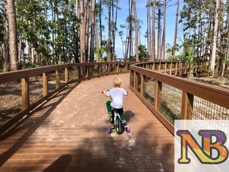 Elevated access for conservation