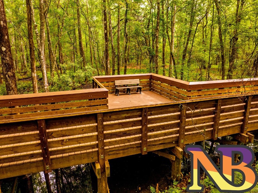 native plant growth on bridge