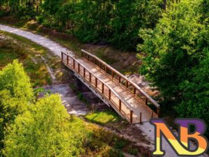 native vegetation on trail bridge