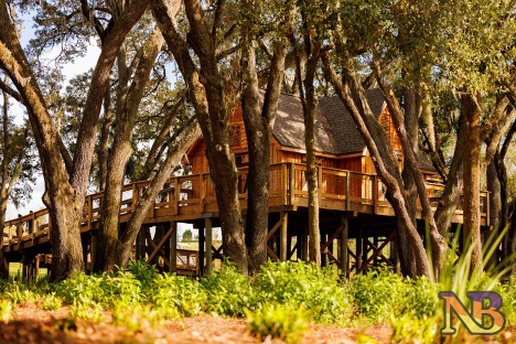 Supporting Healthy Park Ecosystems