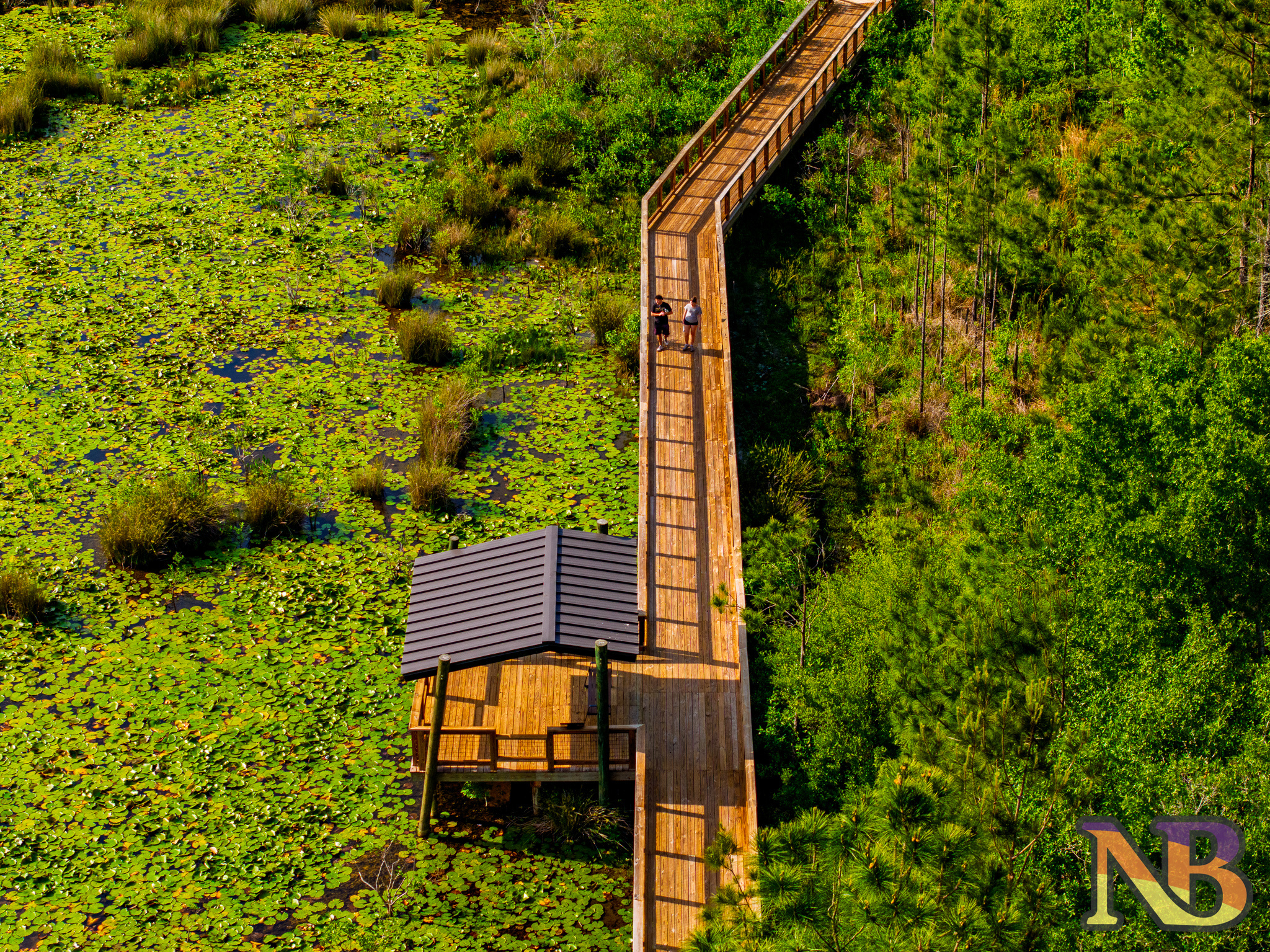 protecting landscapes during construction